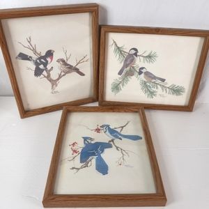 Sherm Pershon Birds Prints set of three framed under glass